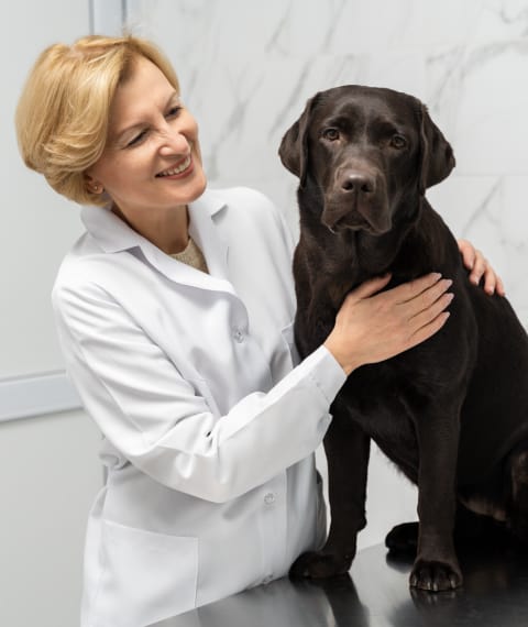 Image of a female doctor with a black dog