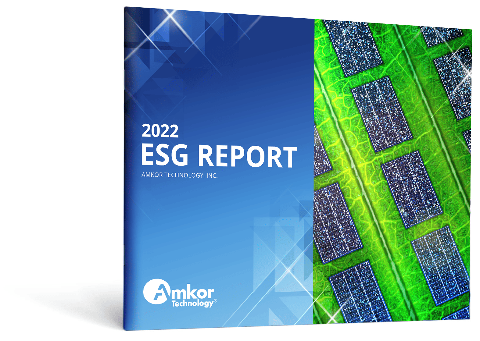 Amkor ESG 报告